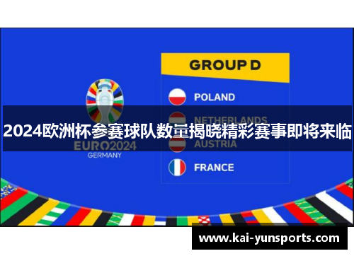 2024欧洲杯参赛球队数量揭晓精彩赛事即将来临
