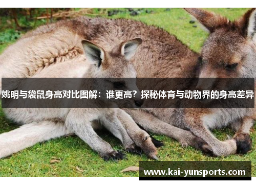 姚明与袋鼠身高对比图解：谁更高？探秘体育与动物界的身高差异