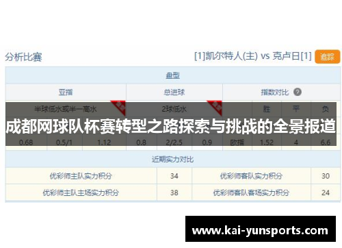 成都网球队杯赛转型之路探索与挑战的全景报道